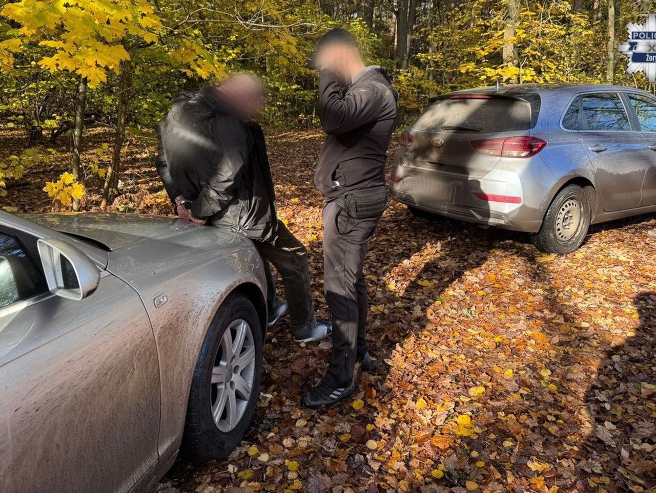 Żory: Diler uciekał samochodem, a potem pieszo przez las