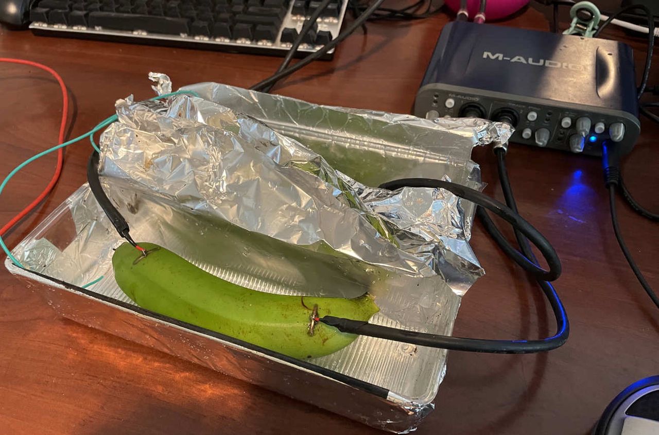 Kosztujący krocie przewód, banan czy błoto? Zadeklarowani audiofile nie potrafili określić różnicy między dźwiękami przesyłanymi przez każde z tych źródeł