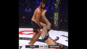 MMA. ACA 111. Niespotykany nokaut Nalgijewa. Rywal stracił przytomność (wideo)
