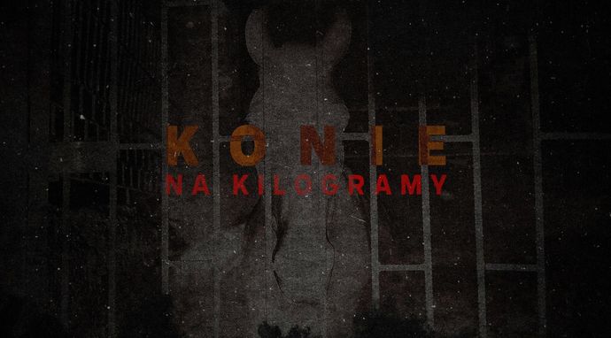 Konie na kilogramy
