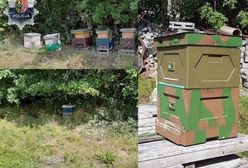 Polkowice. Kradli ule z pszczołami. Udało się odzyskać mienie warte ponad 16 tys. zł.