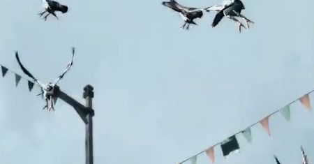 Premierowy zwiastun Assassin`s Creed 2