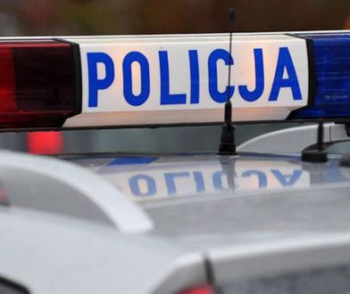 Strzelanina w Wielkopolsce. To mogły być gangsterskie porachunki