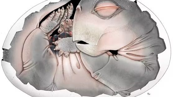 Cyfrowa rekonstrukcja