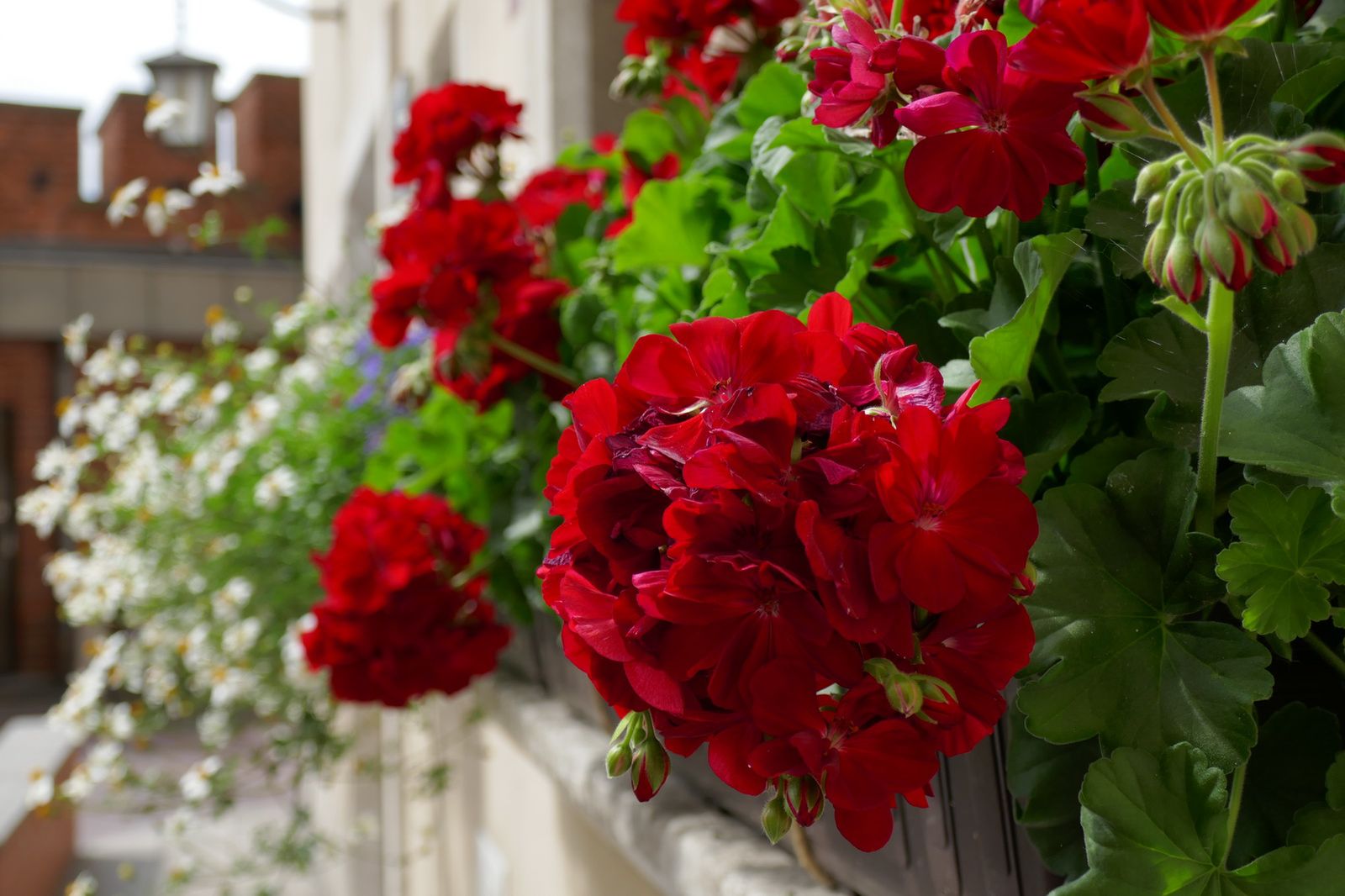 Panasonic TZ100 – maleństwo z klasą [test] 20