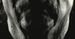 John Carpenter prezentuje ''Distant Dream''