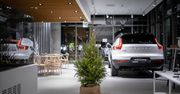 Wypożycz choinkę od Volvo. Wystarczy pojechać do najbliższego salonu