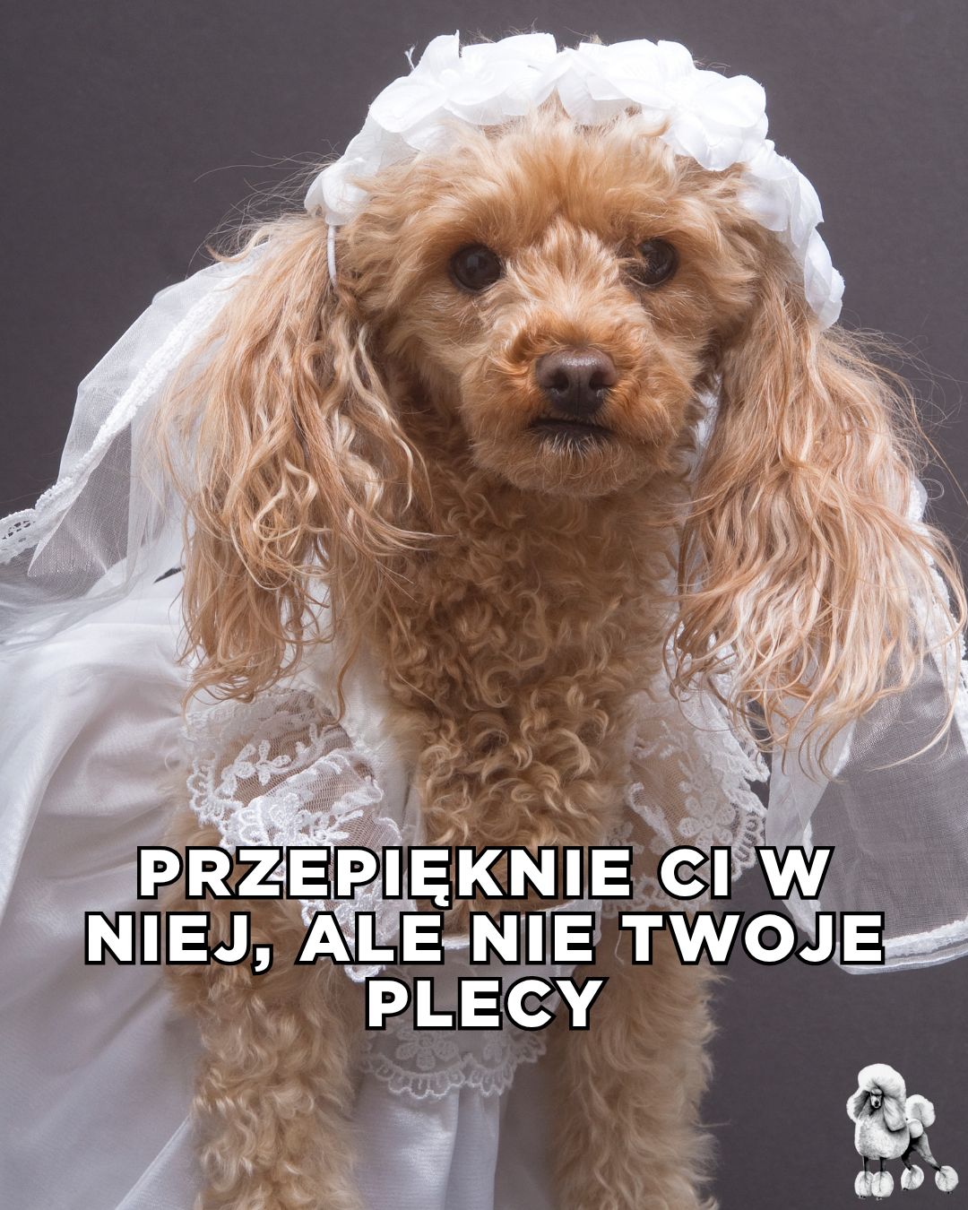 Najlepsze TEKSTY z "Love is Blind"