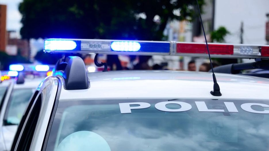 policja