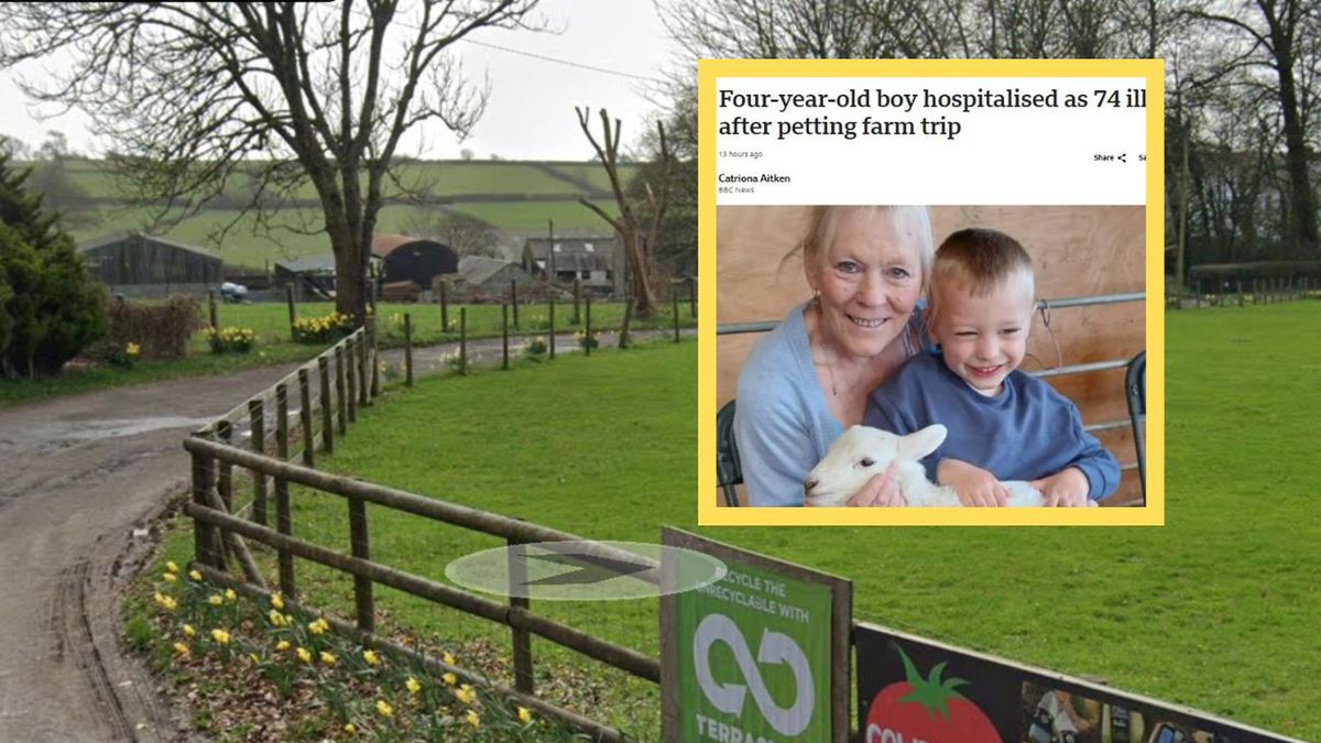 4-latek zaraził się pasożytem po wizycie na farmie