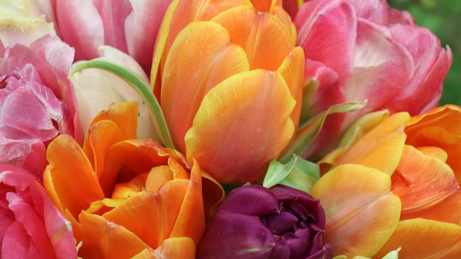 Życzenia na Dzień Kobiet