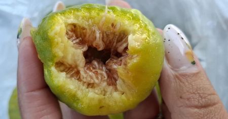 Mężczyźni powinni jeść na kilogramy. Wspiera potencję jak niebieska tabletka