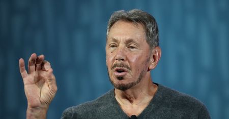 Miliarder dostał mandat na wyspie, która do niego należy. "Nie ma żadnych wymówek"
