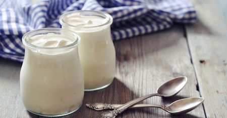 Jogurt grecki bez zawartości tłuszczu
