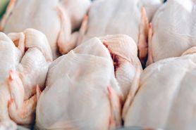 Kurczak równie szkodliwy, co czerwone mięso? Nowe badania