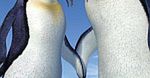 "Happy Feet: Tupot małych stóp 2" w Polsce w grudniu