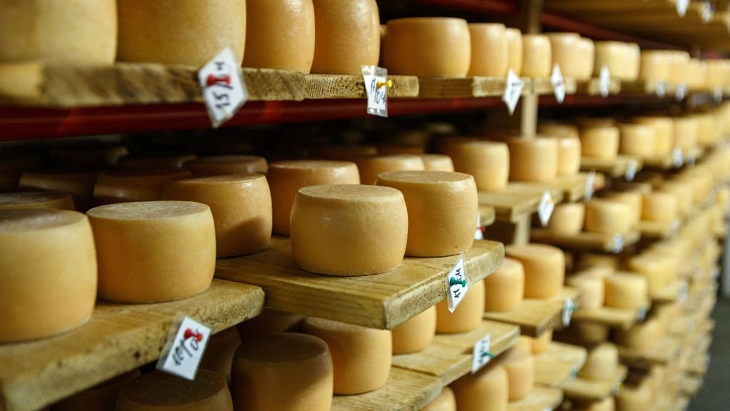 Polska branża mleczarska apeluje o wstrzymanie konfliktu na granicy. Kryzys ma uderzać w producentów sera