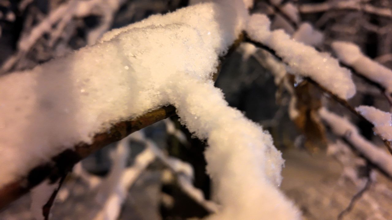 Pierwszy śnieg w Parku Staszica w Częstochowie, 26 listopada 202