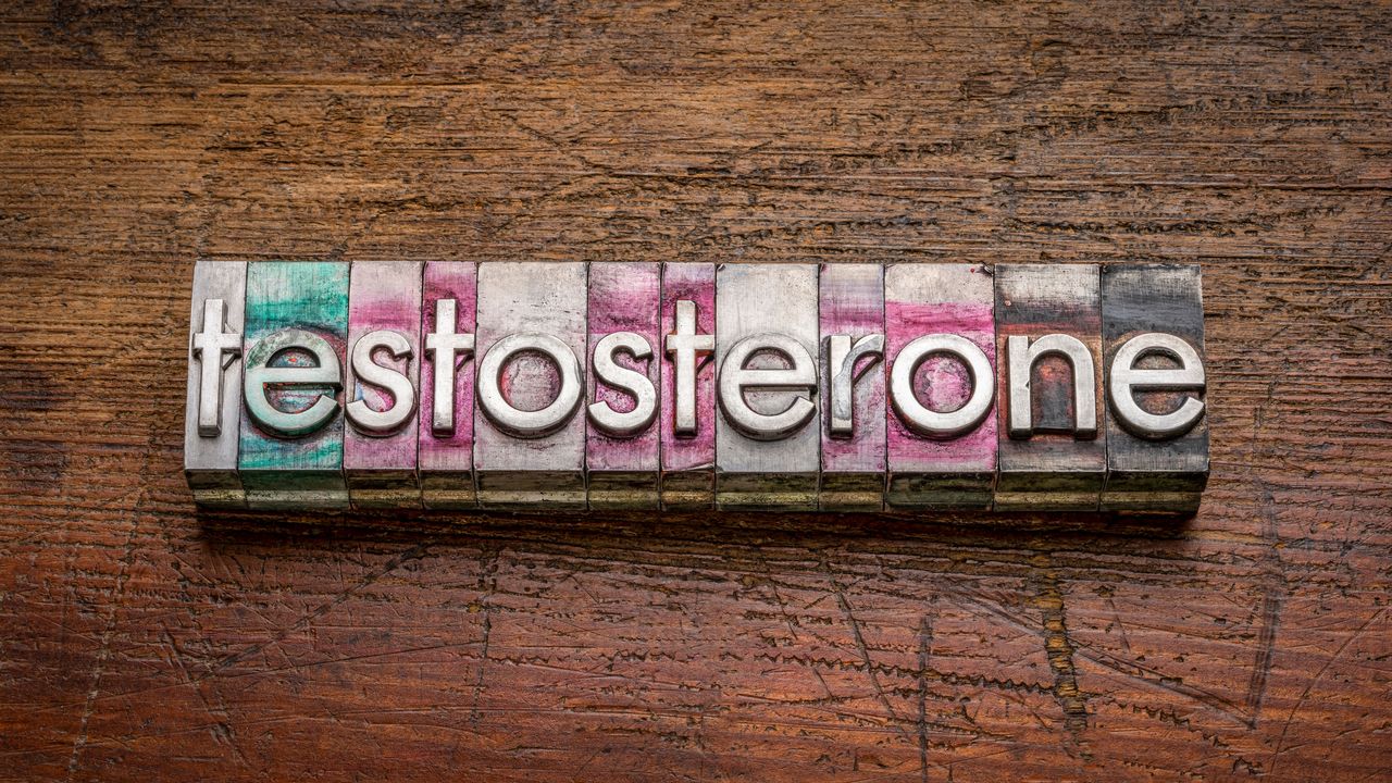 Why an Adequate Level of Testosterone Matters? — Not Only for Men