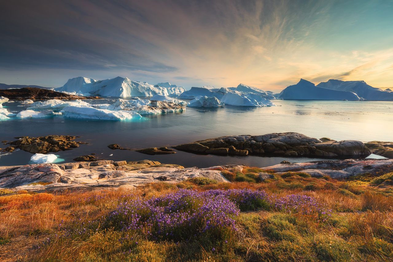 Marek Biegalski na Grenlandii zrozumiał i docenił naturę
