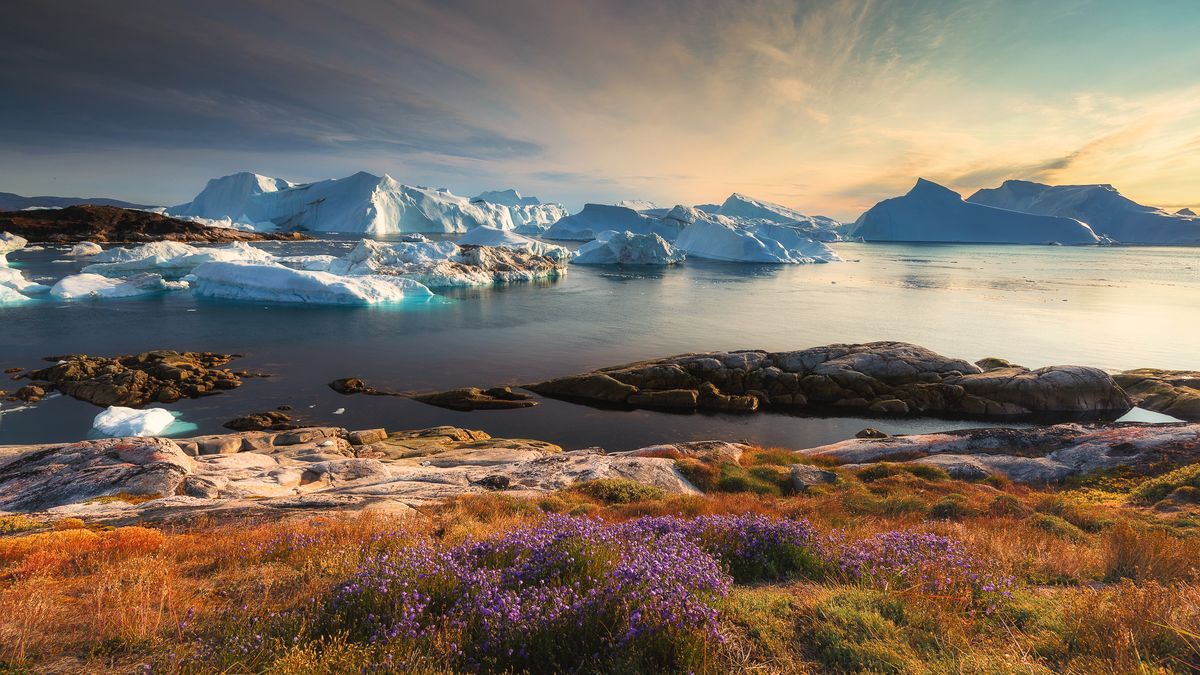 Marek Biegalski na Grenlandii zrozumiał i docenił naturę 1