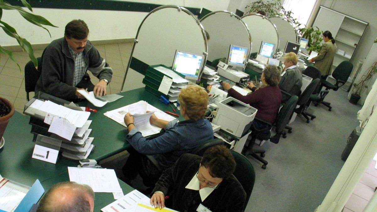 Typowy urząd korzysta z kilkudziesięciu programów komputerowych. Większość jest ze sobą niekompatybilna