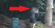 Działkowiec przyłapany w lesie. Wiele osób nie rozumie problemu
