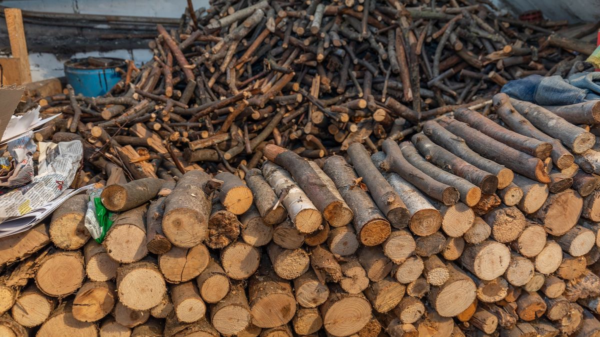 Ile kosztuje drewno na opał? 