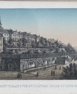 Warszawa w 1855 roku [Litografie i rysunki]
