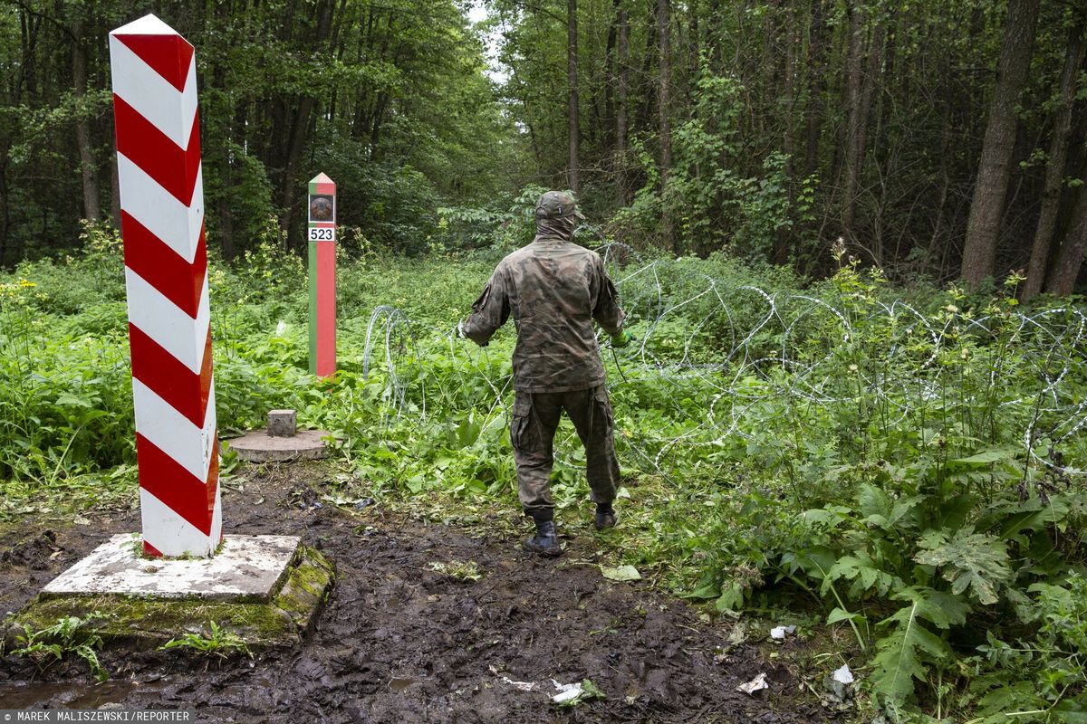 Układanie drutu kolczastego na granicy polsko-białoruskiej 