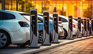 Rozwój elektromobilności w Polsce. Jak KPO wspiera ekologiczny transport?