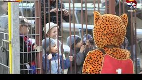 Skrót meczu Lotos Wybrzeże Gdańsk - Dospel Włókniarz Częstochowa (2012)