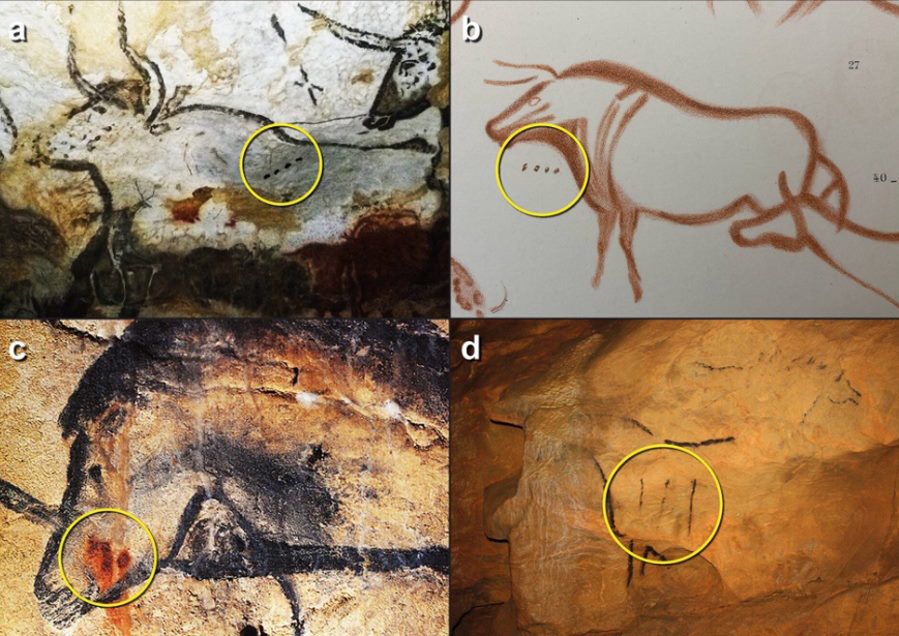 Rozszyfrowano tajemnicze symbole na malowidłach naskalnych sprzed 20 tys. lat?
