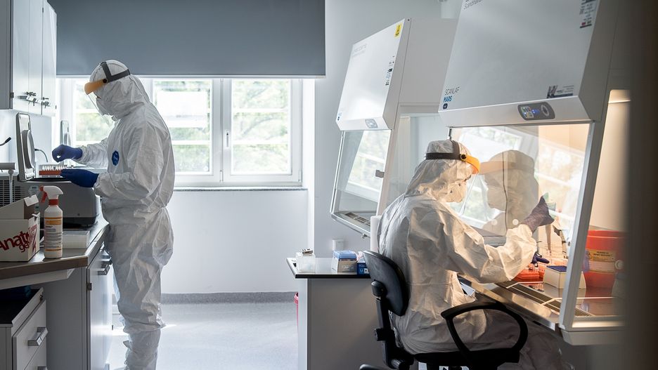 laboratorium covid-19 koronawirus test badanie COVID