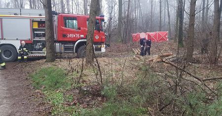 Tragedia podczas wycinki drzew. Nie żyje 48-latek