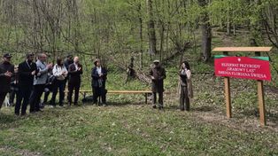 Dzierzkowice: Grabowy Las jest już objęty ochroną. Setny rezerwat przyrody na Lubelszczyźnie otwarty