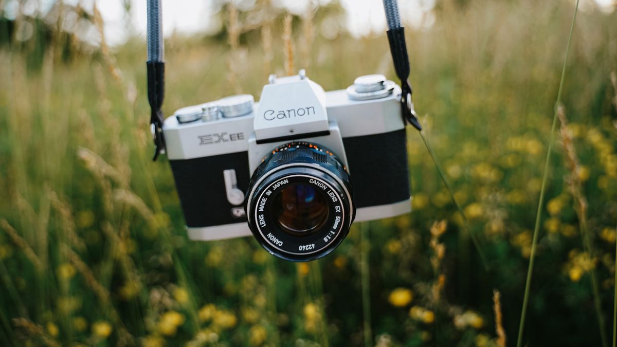 Canon liderem sprzedaży aparatów. Sony daleko w tyle 1