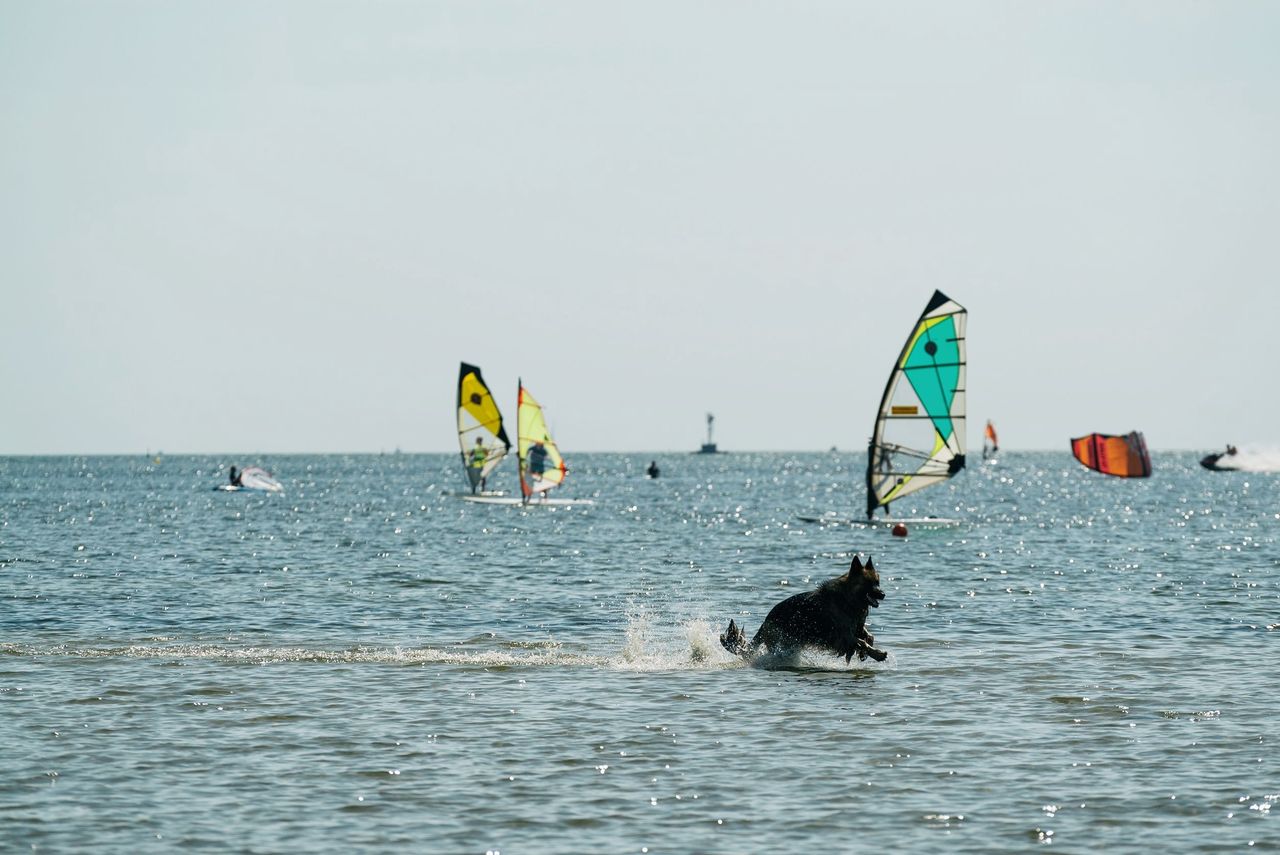 Kitesurfing, zdjęcie ilustracyjne 