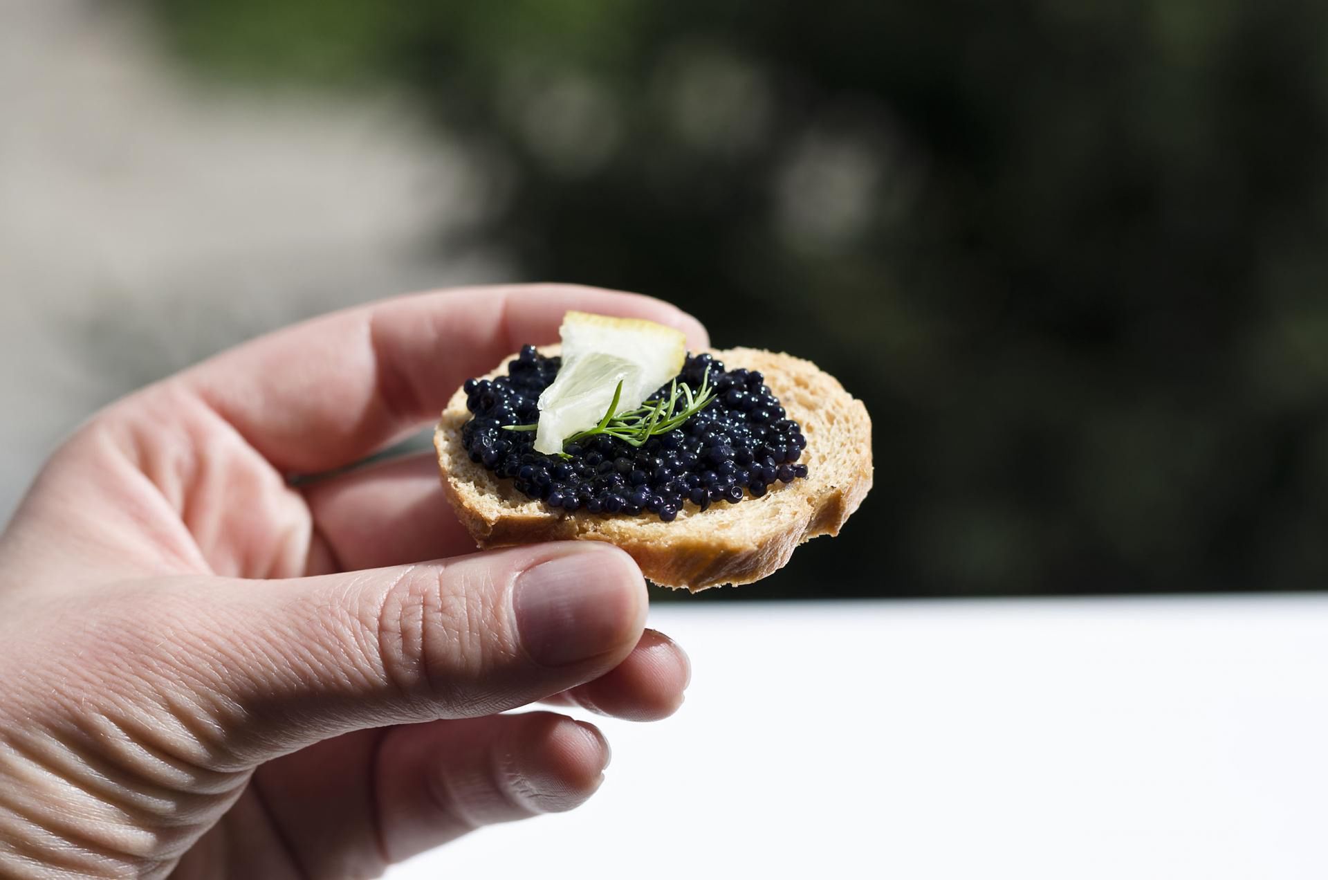 Kawior jest bogaty w cynk, dzięki czemu skutecznie stymuluje tworzenie testosteronu.