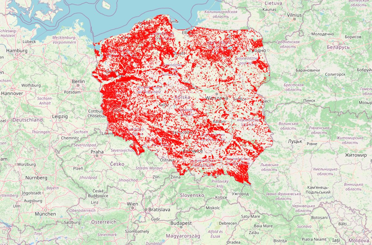 Interaktywna mapa wycinki lasów 