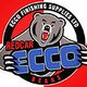 Redcar Bears