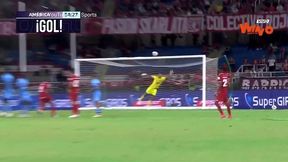 #dziejesiewsporcie: Po tym strzale kibice złapali się za głowy. Coś niesamowitego!