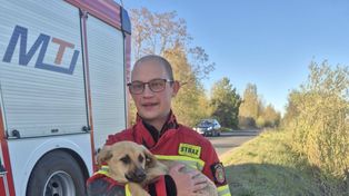 Nietypowa interwencja w Ślesinie. Pies wydobyty z przepustu