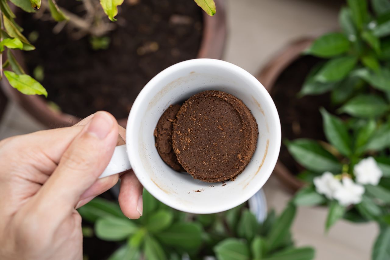 Concrete solution: Coffee grounds boost strength by 30%