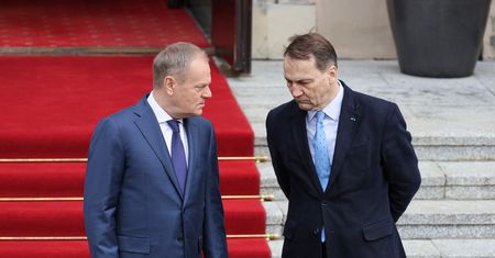 Rodzina Tuska inwigilowana Pegasusem? "Pisowskie kanalie"