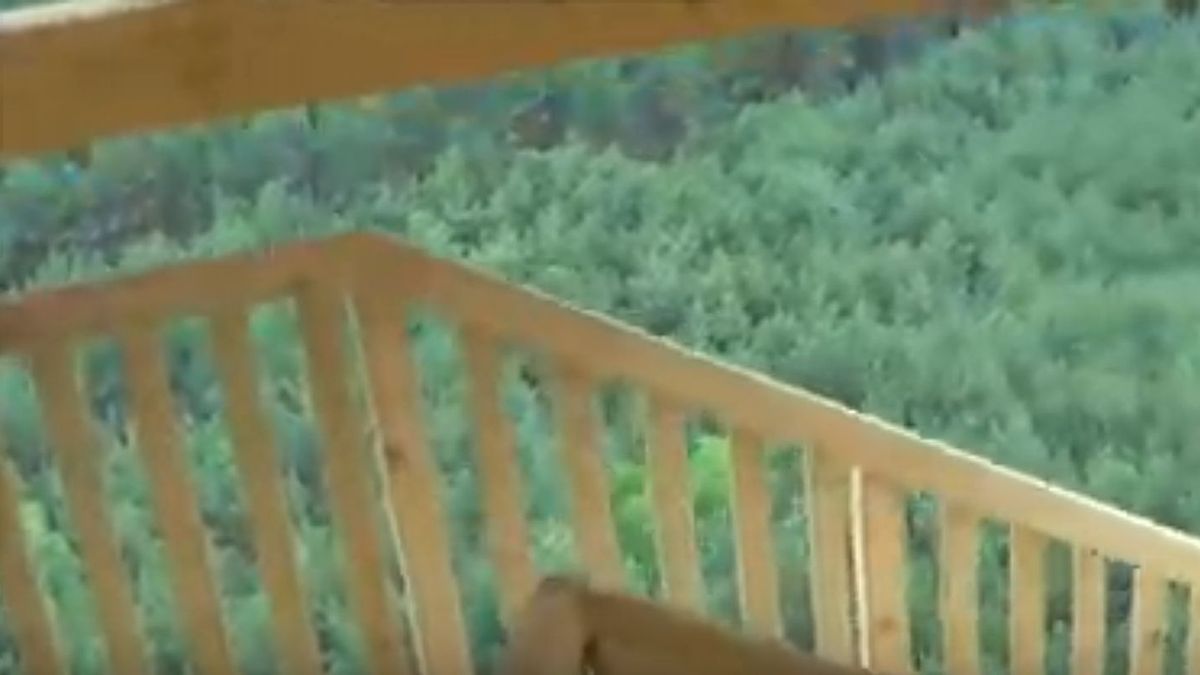 Widok z wieży widokowej w Świętnie.