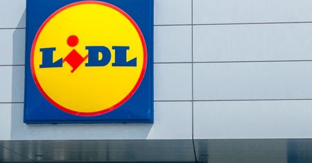 1,49 zł za sztukę. Taka promocja w Lidlu tylko w poniedziałek