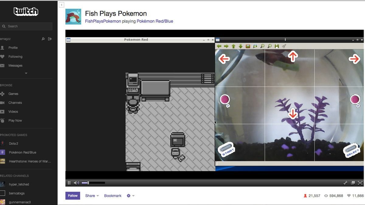 Najpierw Symulator Kozy, teraz ryba grająca w Pokemony. Jak można tracić na to czas?! 3