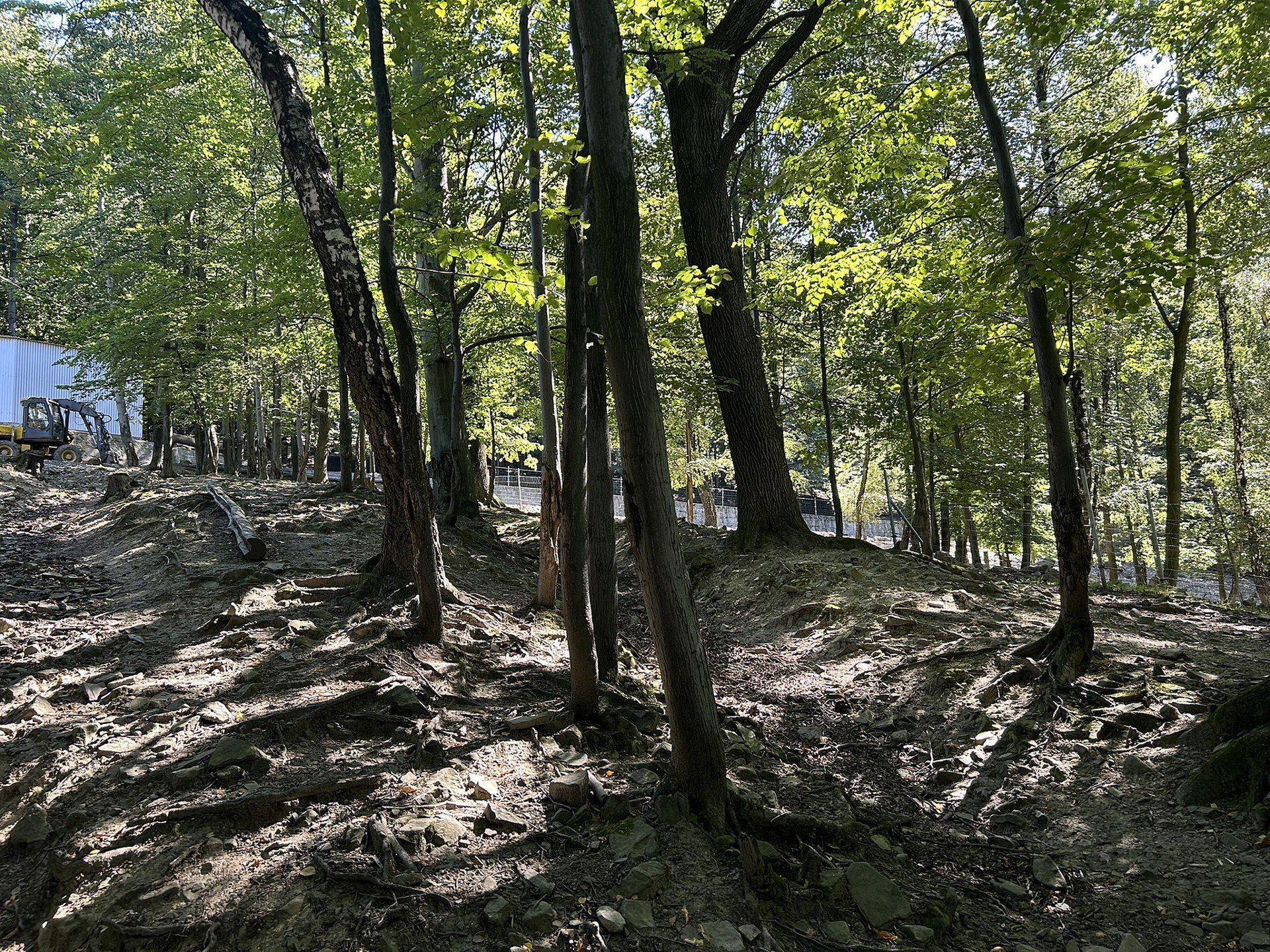 W Leśnym Parku Niespodzianek. W trosce o faunę i florę regionu