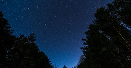 Koniecznie spójrzcie w niebo. "Spektakl, jakiego nigdy w życiu nie widzieliście"